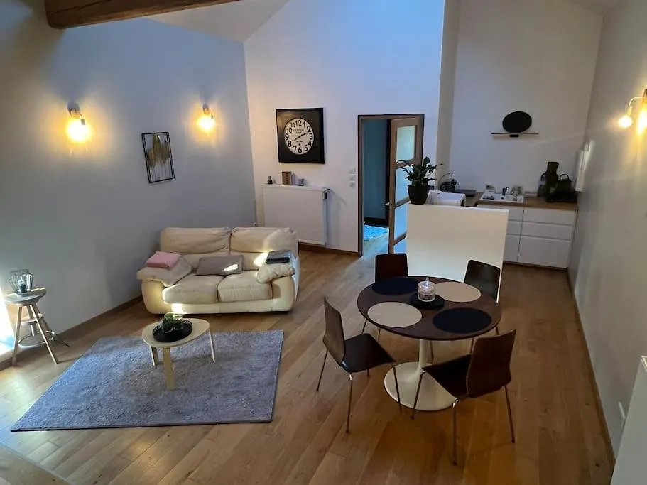 Apartment 5 Mn Vienne, Confort Et Calme A La Campagne Reventin-Vaugris France
